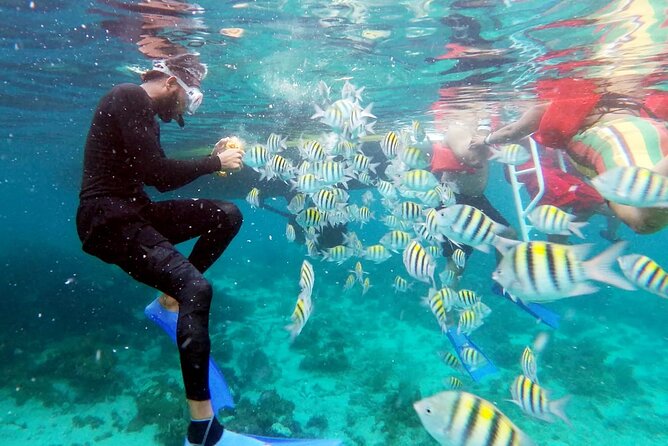 Sunset Cruise Ricks Cafe & Snorkeling Montego Bay Guests - Overview of the Sunset Cruise