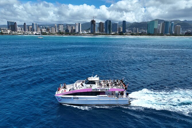 Sunset Cruise & Whale Watching From Oahu - Customer Experiences and Feedback