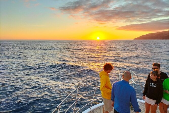 Sunset Cruise With Dinner on Board - Additional Details