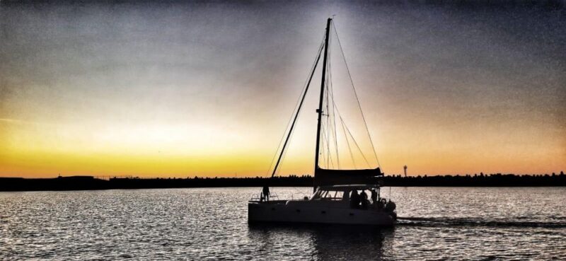 Sunset Cruise With Explore Cruises - Spotting Marine Life