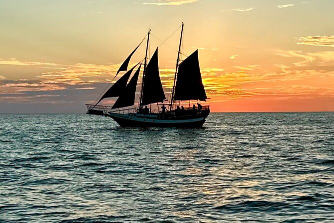 Sunset Cruises-Dolphin Tours-Skyway Bridge Tours-Shelling-Snorkel - Parking and Transportation