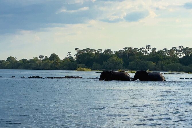 Sunset Cruises on the Zambezi River From Victoria Falls - Boat Seating and Comfort Details