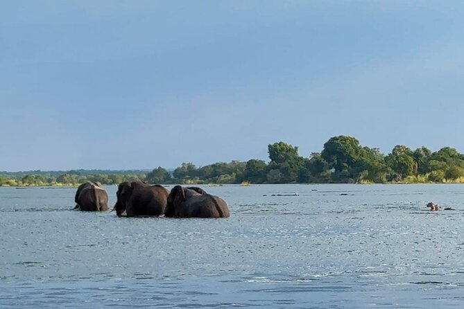 Sunset Cruises on the Zambezi River From Victoria Falls - Flexible Cancellation Policy