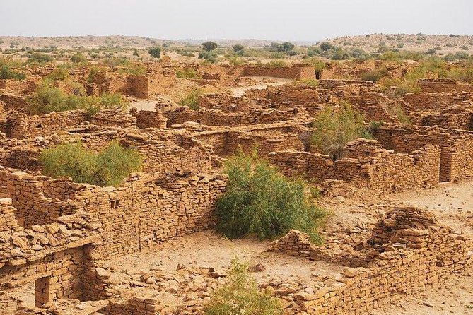 Sunset Cultural Desert Safari Tour Package - Meeting Information