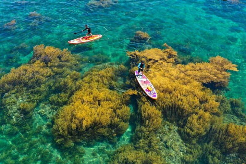 Sunset Dinner Cruise And Snorkeling Tour In Phú Quốc Island - Amenities and Inclusions