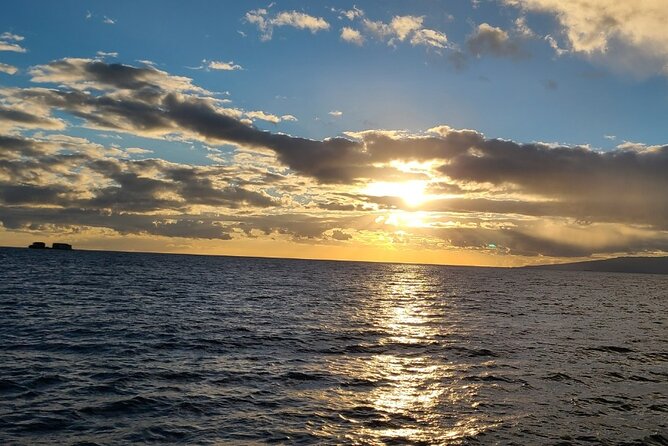 Sunset Dinner Cruise in Honolulu - Dinner Menu and Offerings