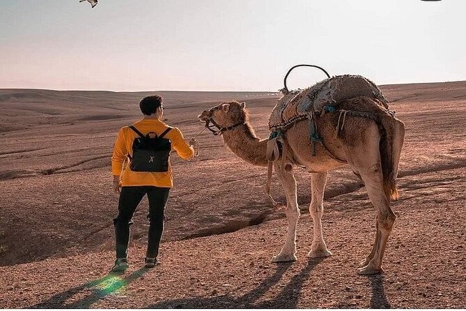 Sunset & Dinner in Desert Agafay Marrakech With Camels - Inclusions and Highlights