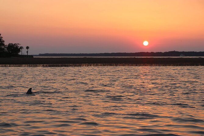 Sunset Dolphin Cruise in Hilton Head - Location and Meeting Details
