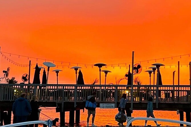 Sunset Dolphin Cruise in Hilton Head - Customer Reviews and Recommendations