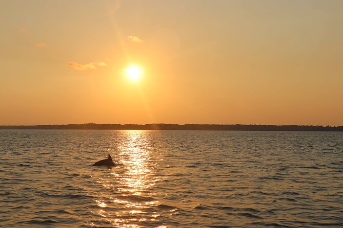 Sunset Dolphin Cruise in Hilton Head - Preparation and Packing Tips