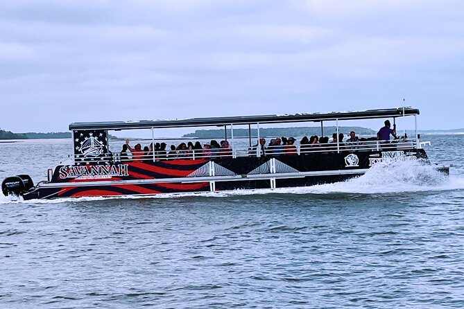 Sunset Dolphin Eco Tour - Tour Highlights