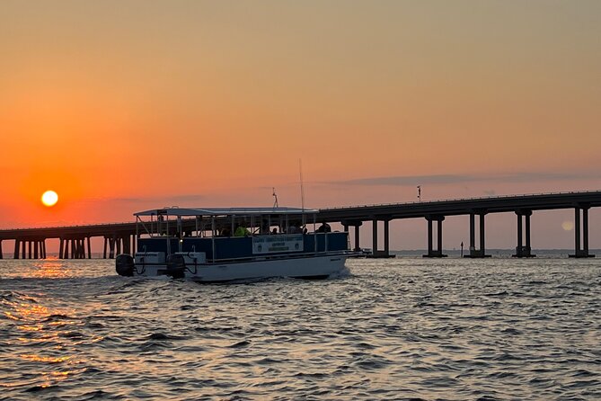 Sunset Dolphin Excursion - Highlights of the Experience