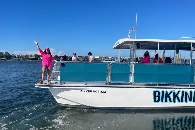 Sunset Dolphin Excursion - Customer Feedback and Recommendations