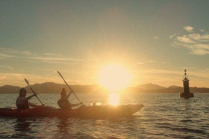 Sunset Dolphin Kayak Tour at Golfo Aranci - Overview of the Tour