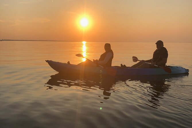 Sunset Dolphin Kayak Tours - Reviews