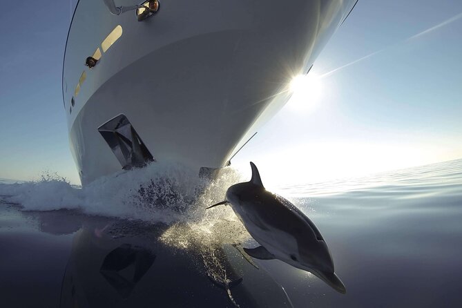 Sunset Dolphin Watching Boat Tour From Vrsar - Quick Points