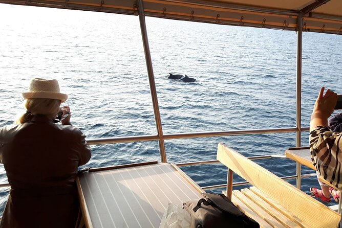 Sunset Dolphin Watching Boat Tour From Vrsar - Customer Feedback and Reviews