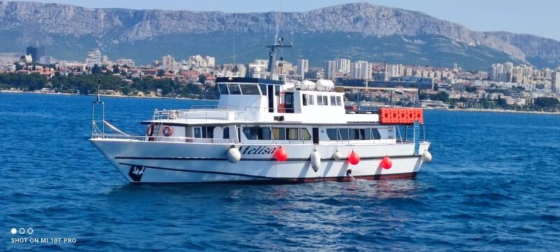 SUNSET DOLPHIN WATCHING BOAT TOUR - About the Tour Guides
