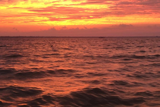Sunset Dolphin Watching Cruise in Destin Harbor - Getting to the Harbor