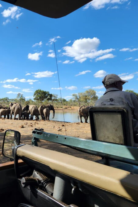Sunset Drive & Bush Dinner | Big 5 Game Reserve (HOEDSPRUIT) - Inclusions and Exclusions