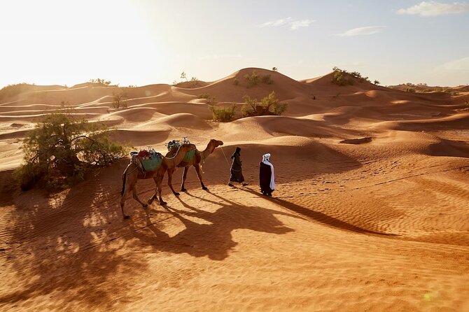 Sunset Dubai Desert Safari With BBQ & Entertainment - Barbecue Dinner and Beverages