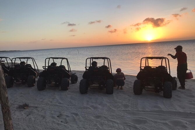 Sunset Dune Buggy Tour & Wildlife Eco-nature Park Adventure(min2) - Key Points