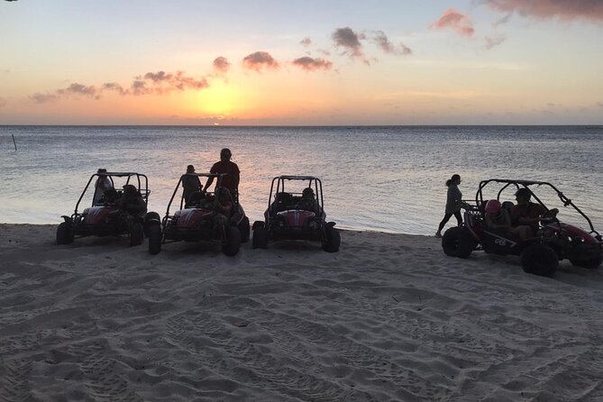 Sunset Dune Buggy Tour & Wildlife Eco-nature Park Adventure(min2) - Wildlife Encounters