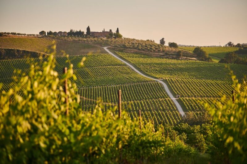 Sunset Ebike Tour and Dinner - Experience Highlights