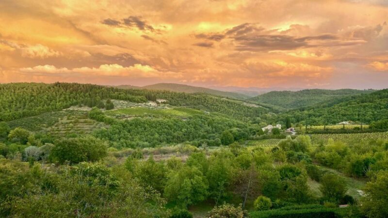 Sunset Ebike Tour and Dinner - Discovering Tuscan Countryside