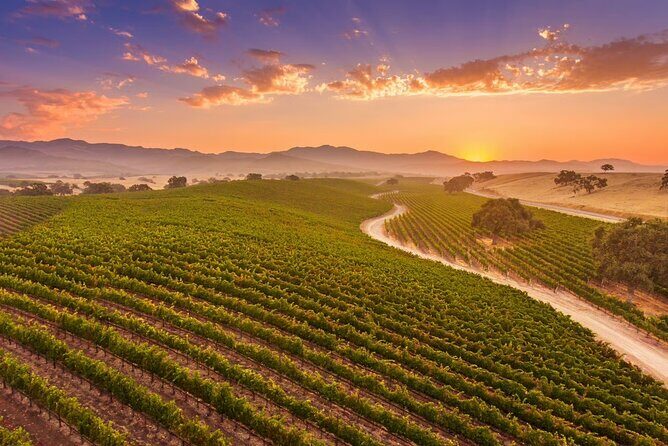 Sunset Eco Farm Experience Sheep Olive Oil Wine Cheese Tasting - Frequently Asked Questions