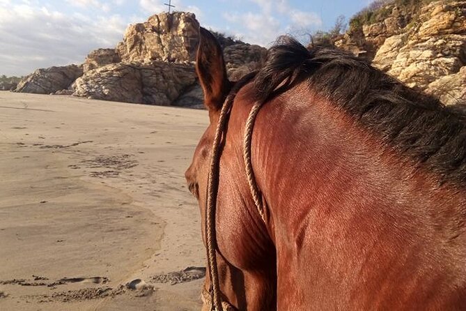 Sunset Eco Horse Tour in Mazunte - Booking and Availability
