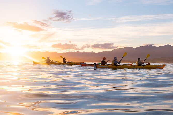 Sunset Evening Kayaking Tour - Kaikoura - General Recommendations