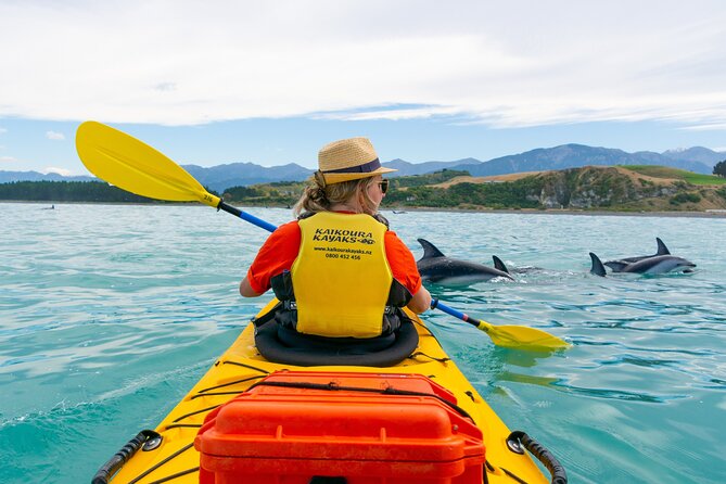 Sunset Evening Kayaking Tour - Kaikoura - Preparation and Packing Essentials