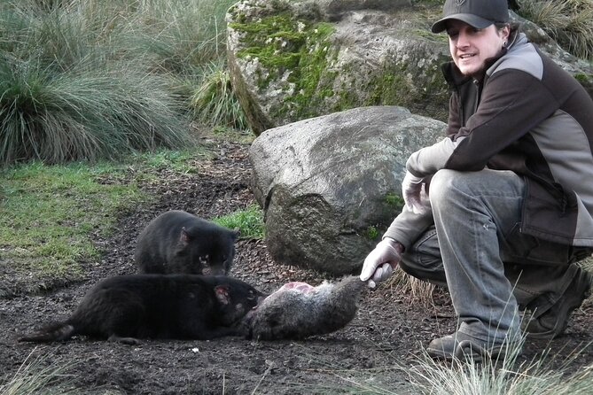 Sunset Experience - Booking and Confirmation Process