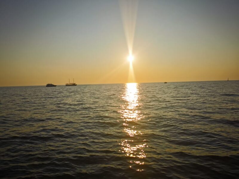 Sunset Finds Dolphins - Scenic Views