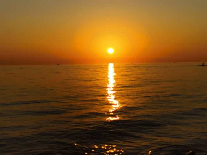Sunset Finds Dolphins - Frequently Asked Questions