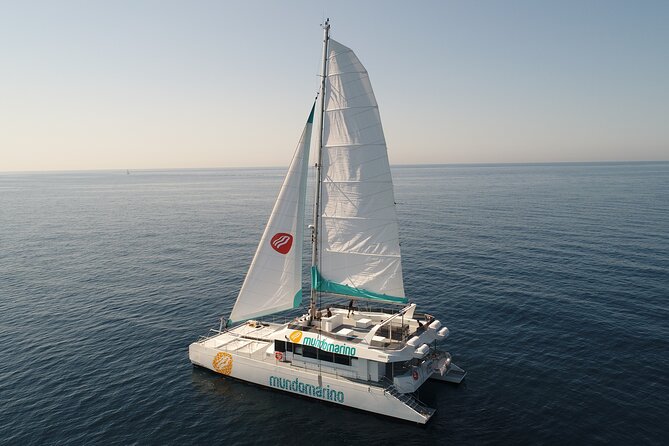 Sunset From a Catamaran in Malaga - Booking and Payment Options