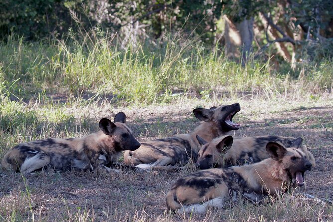Sunset Game Drive Safari Near Hoedspruit - Included Amenities
