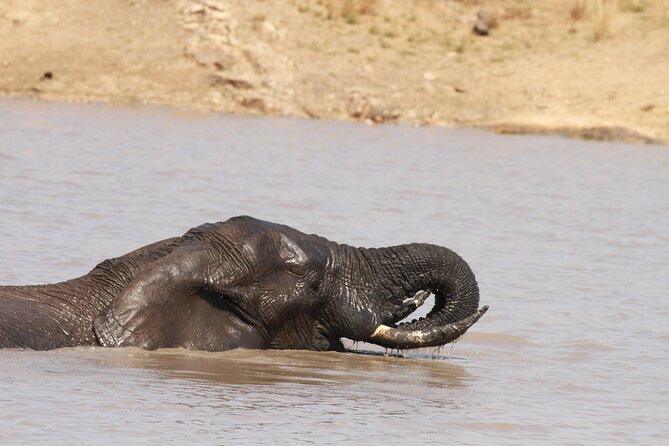 Sunset Game Drive Safari Near Hoedspruit - Medical Requirements