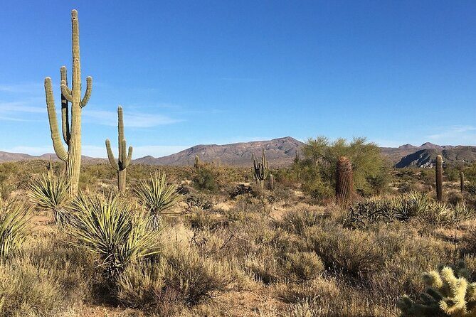 Sunset Great Western Trail Jeep Tour - Final Thoughts: Is It Worth It?