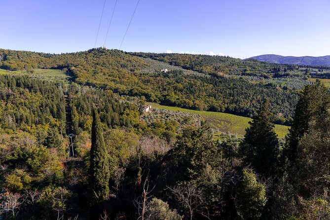 Sunset Hike in Fiesole With Aperitivo - Inclusions and Experience Details