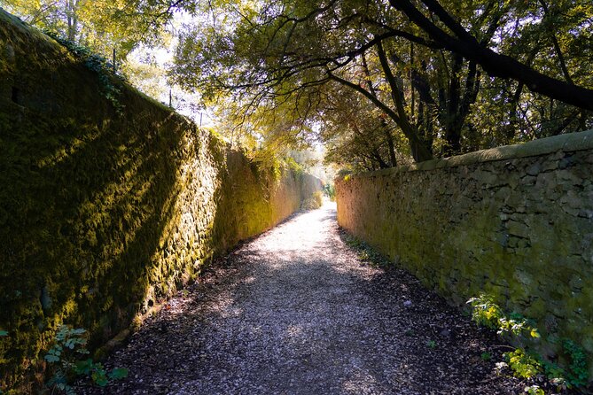 Sunset Hike in Fiesole With Aperitivo - Meeting Point and Pickup Information
