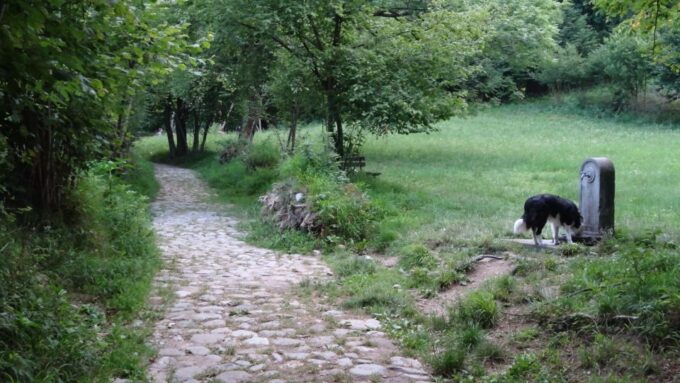 Sunset Hike in Lecco With Craft Beer Tasting - Craft Beer Tasting