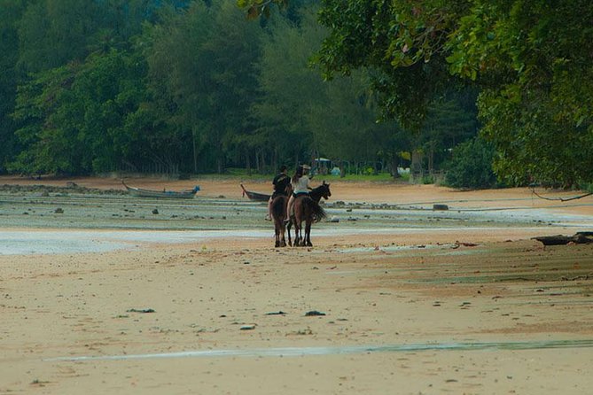 Sunset Horse Riding Tour at Ao Nam Mao Beach Krabi - Horse Welfare Concerns