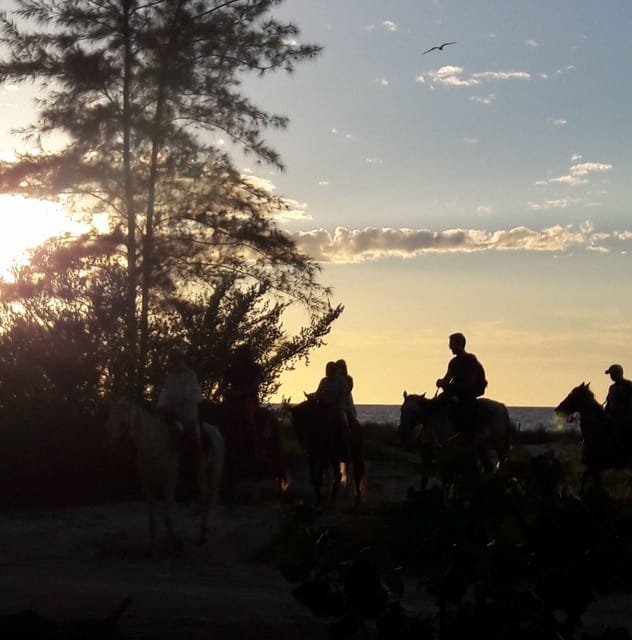 Sunset Horseback Adventure in Holbox - Key Points