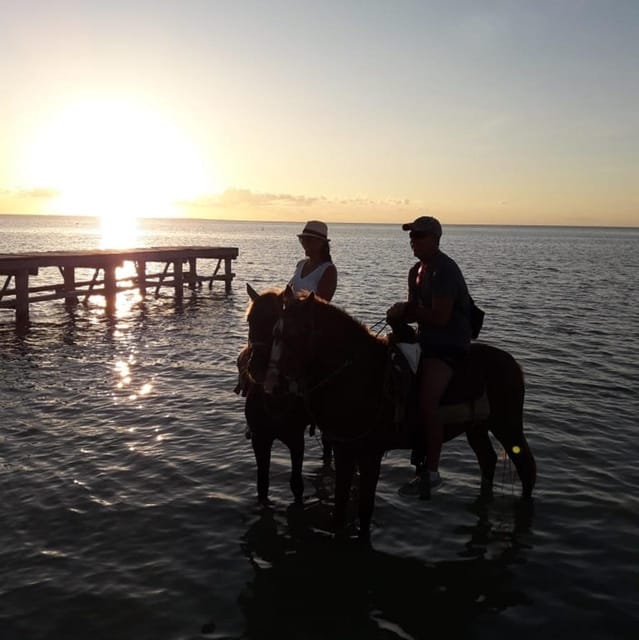 Sunset Horseback Adventure in Holbox - Pricing and Booking