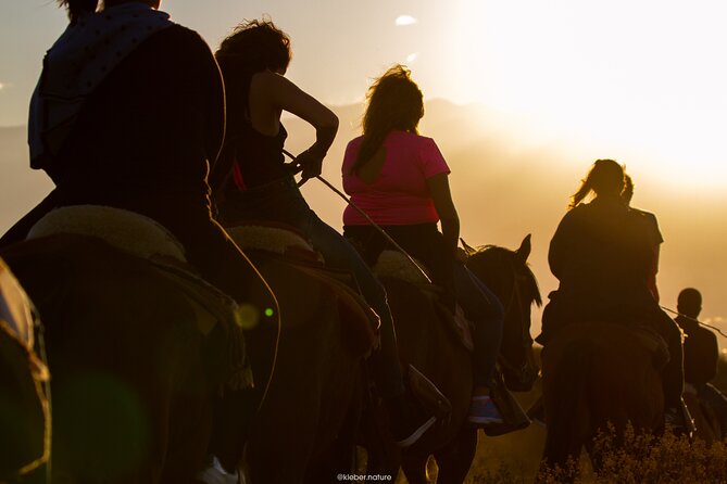 Sunset Horseback Riding - Location and Accessibility