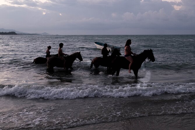 Sunset Horseback Riding in Puerto Plata - Included Amenities