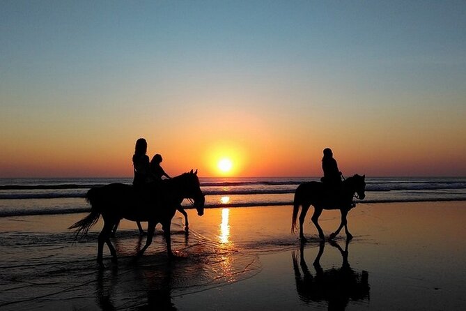 Sunset Horseback Riding in Puerto Plata - Exploring Puerto Plata