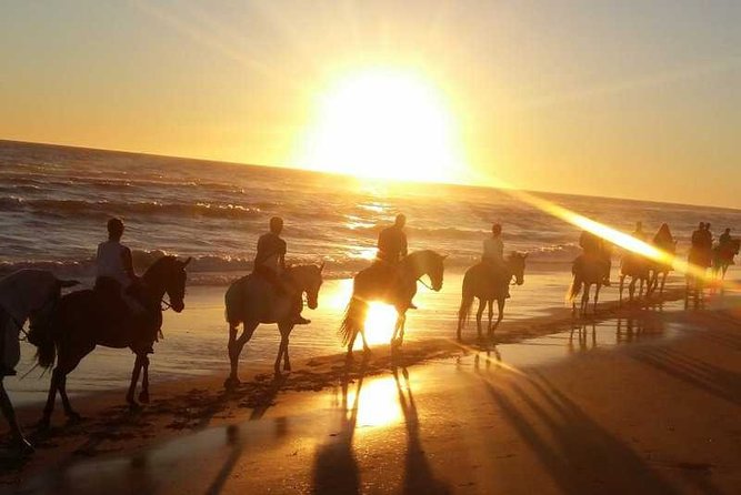 Sunset Horseback Riding Tour From Punta Cana - Traveler Reviews and Ratings